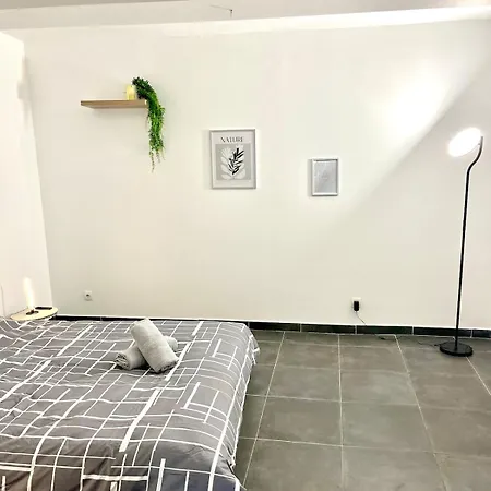 Appartement L'industriel - Lit King Size